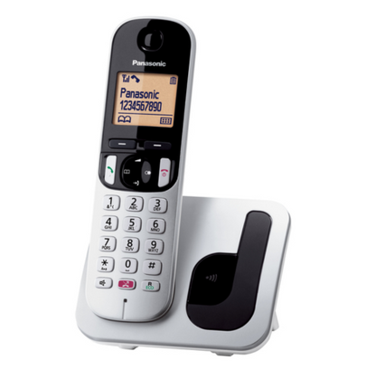 Panasonic KX-TGC250JTS Telefono Cordless Digitale - Argento