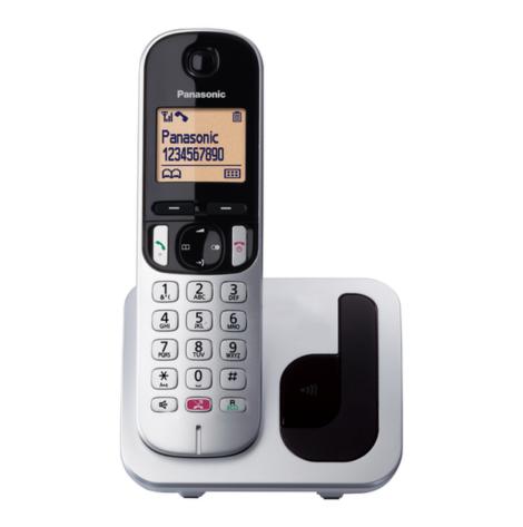 Panasonic KX-TGC250JTS Telefono Cordless Digitale - Argento