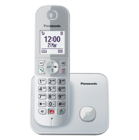 Panasonic KX-TG6851JTS Telefono Cordless  Argento Perla