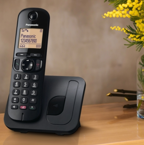 Panasonic KX-TGC250JTB Telefono Cordless Digitale Nero